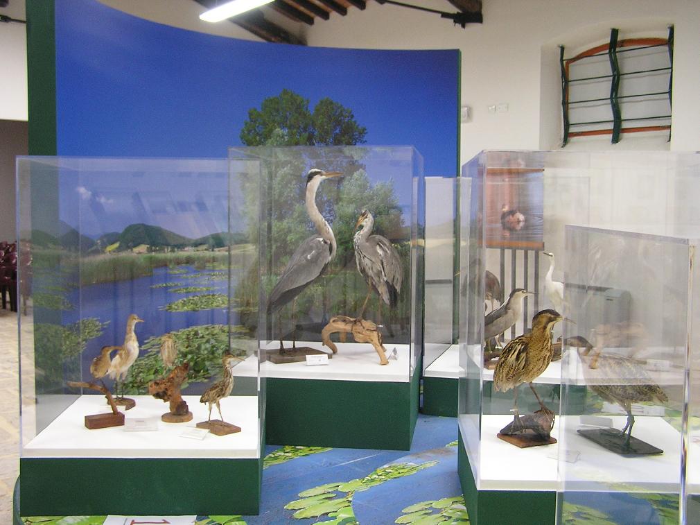 Museo Naturalistico del Parco di Colfiorito - Foto di Roberta Milleri