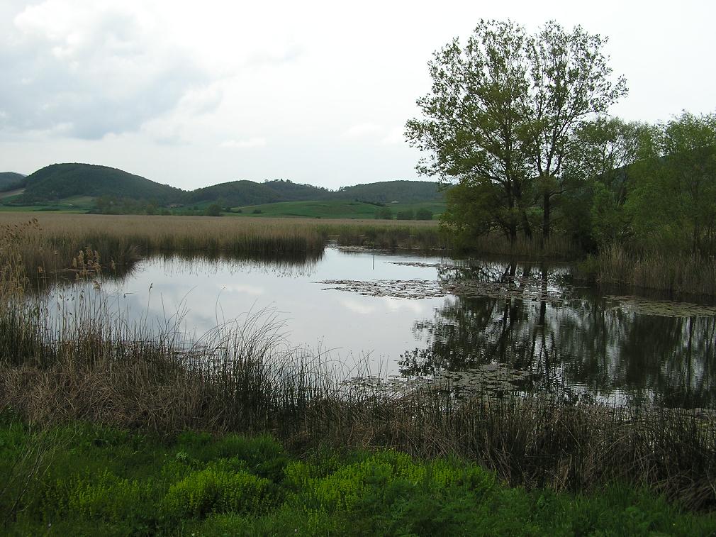 La Palude di Colfiorito - Foto di Roberta Milleri