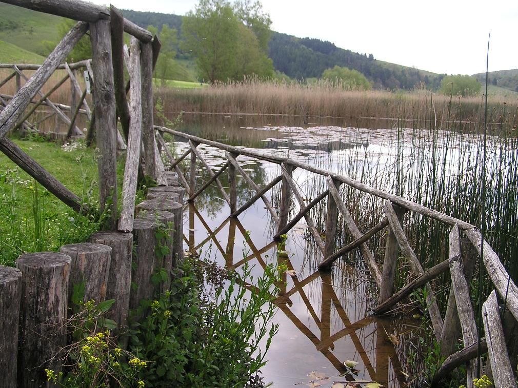 La Palude di Colfiorito - Foto di Roberta Milleri