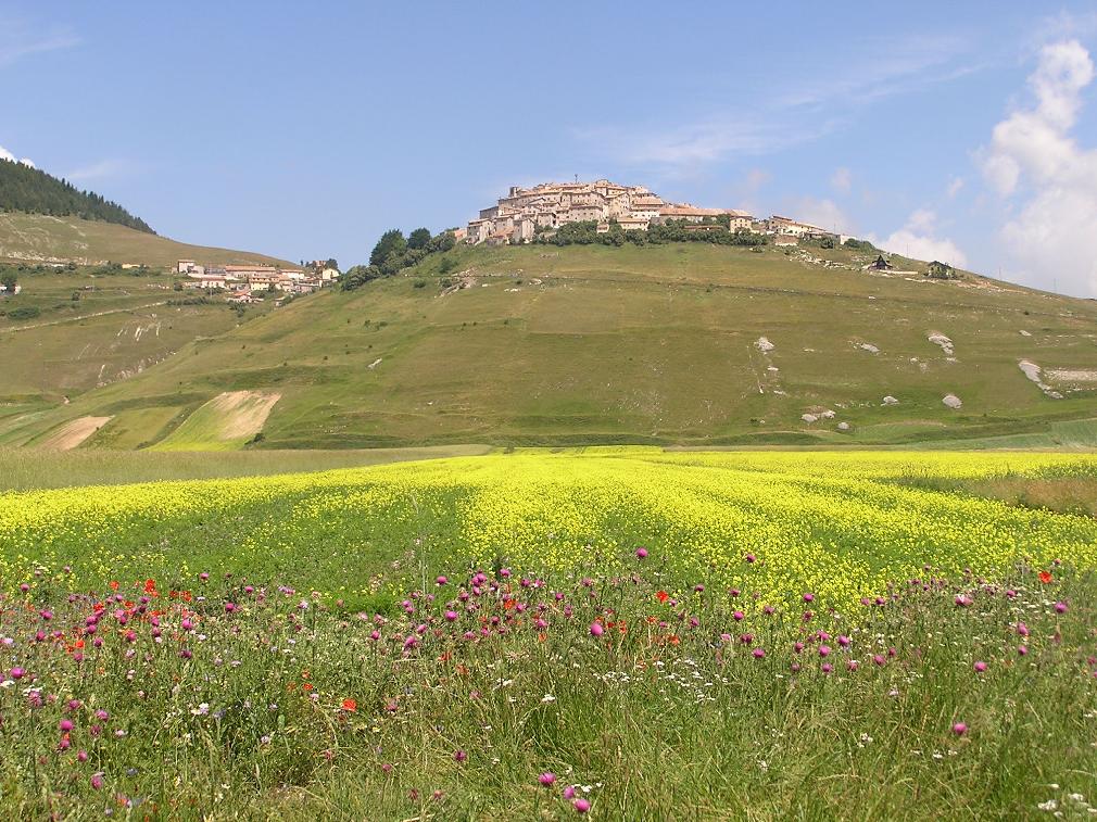 Castelluccio di Norcia - Foto di Roberta Milleri